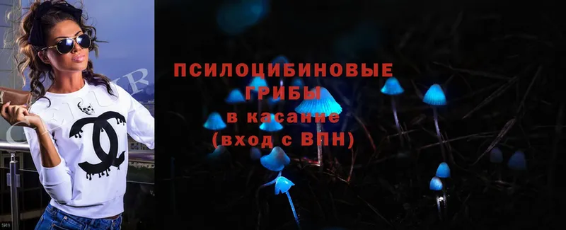 Псилоцибиновые грибы Magic Shrooms  Карасук 